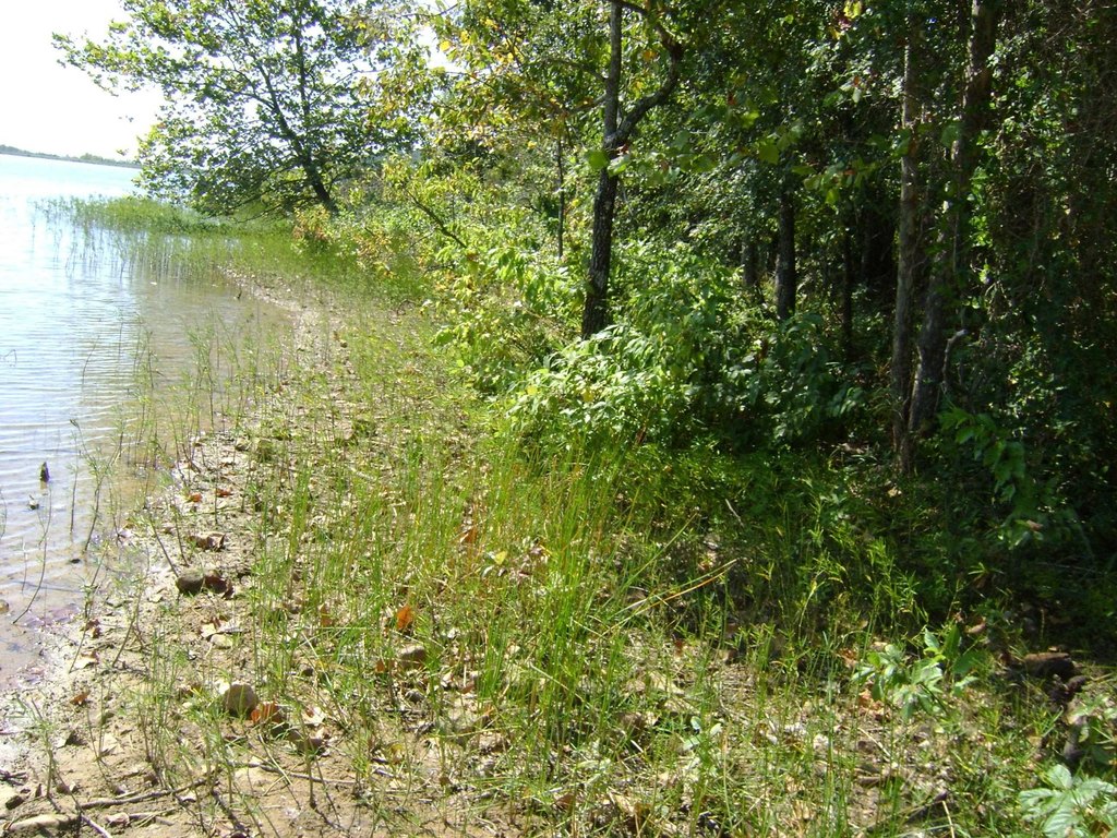 Picture 12
