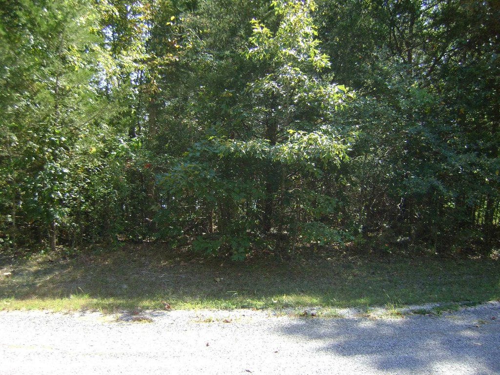 Picture 15