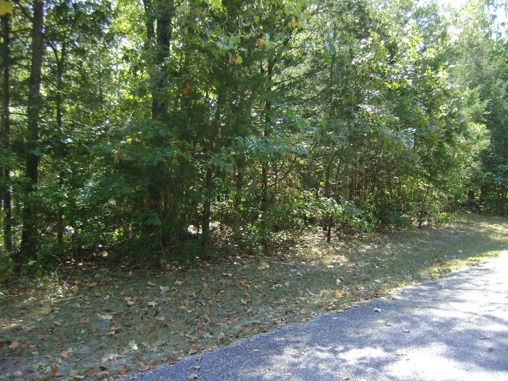 Picture 17