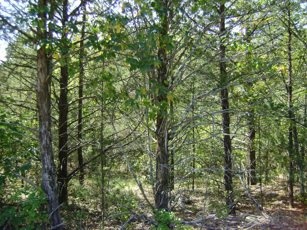 Picture 10