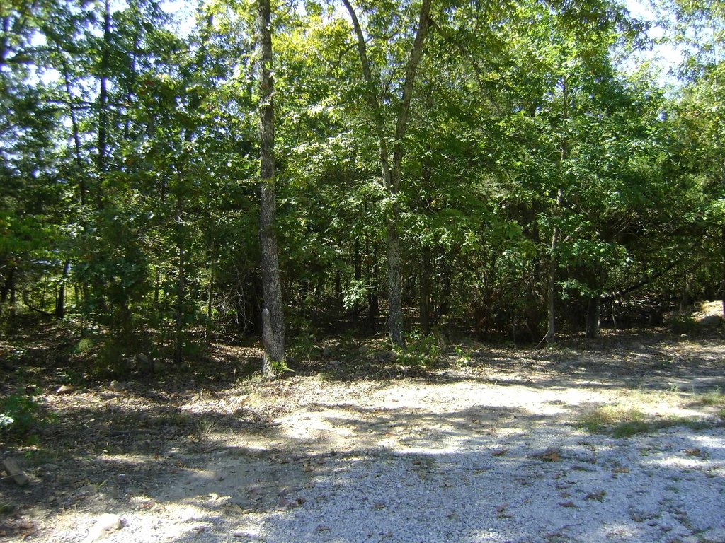 Picture 14