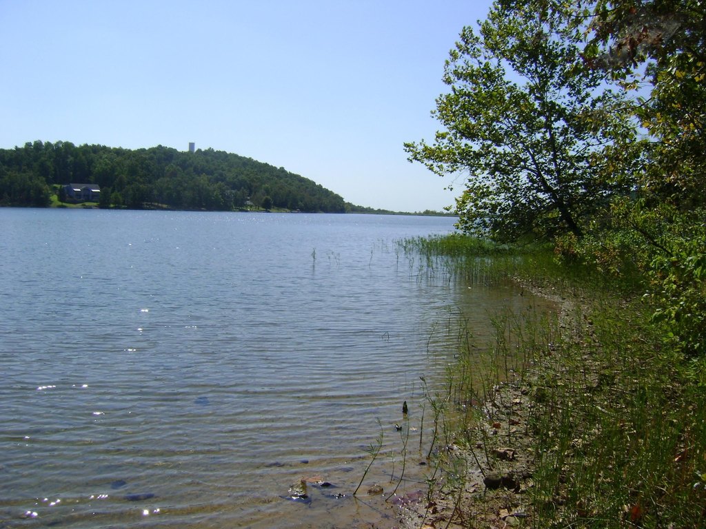 Picture 3