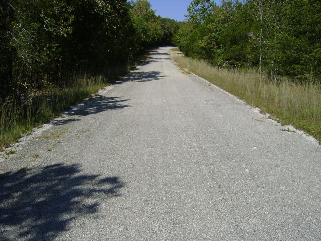 Picture 7