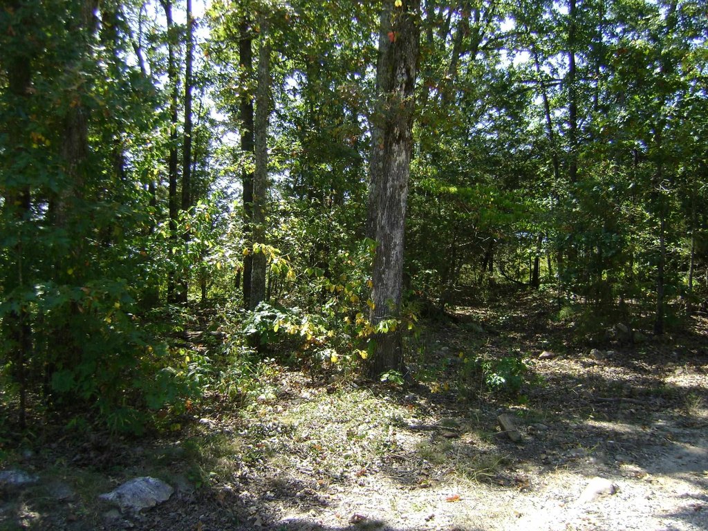 Picture 13