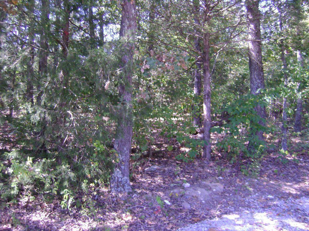 Picture 11