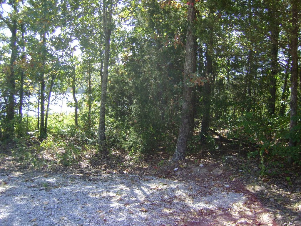 Picture 5