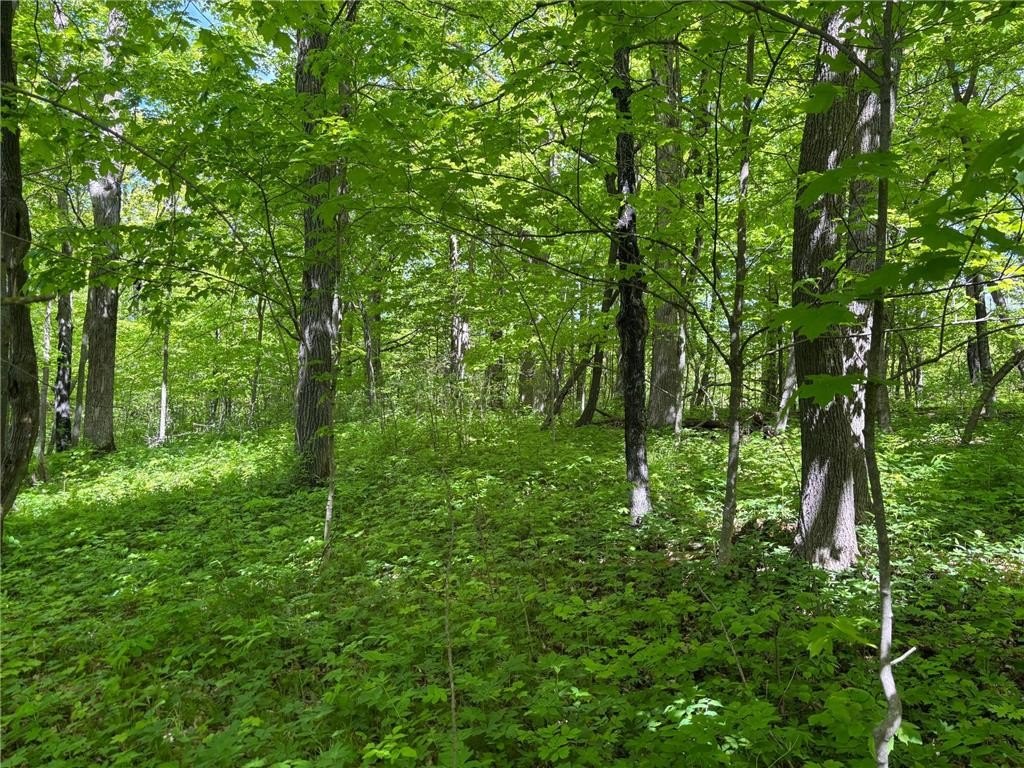 Picture 23