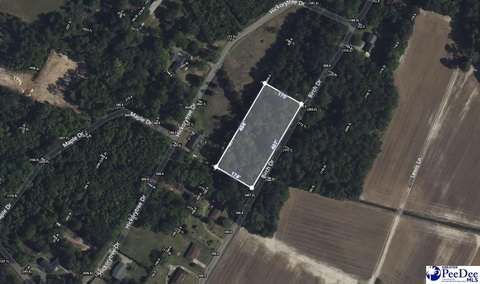 Residential Lot in Growing Hartsville