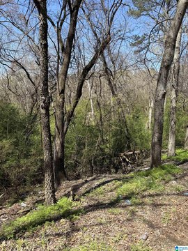 R2 Zoned Residential/Commercial Land