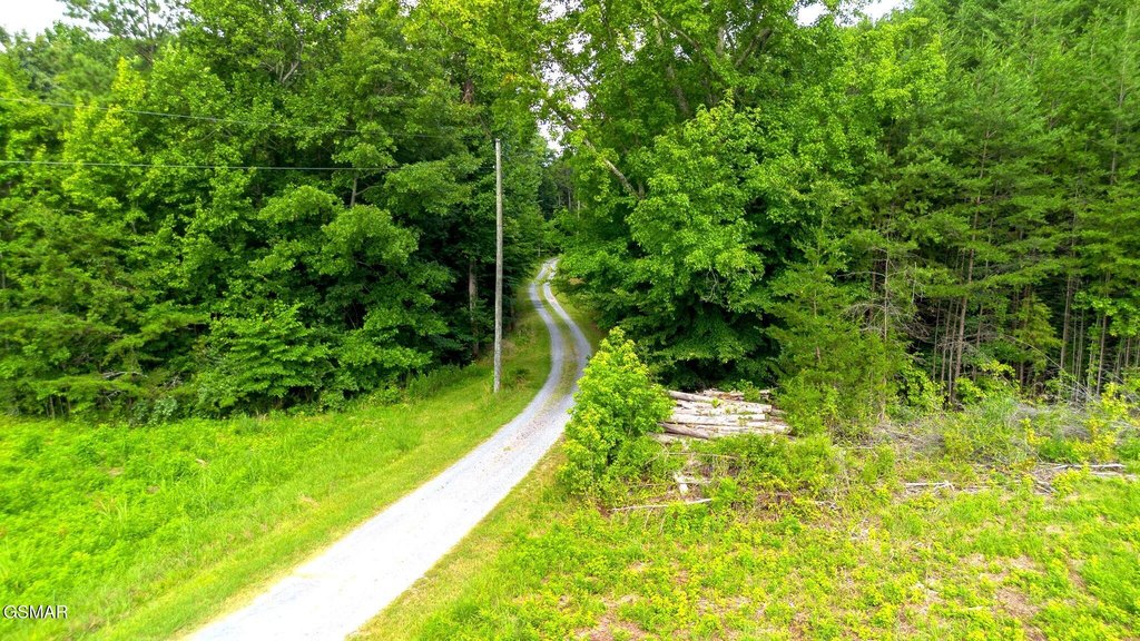 Picture 45