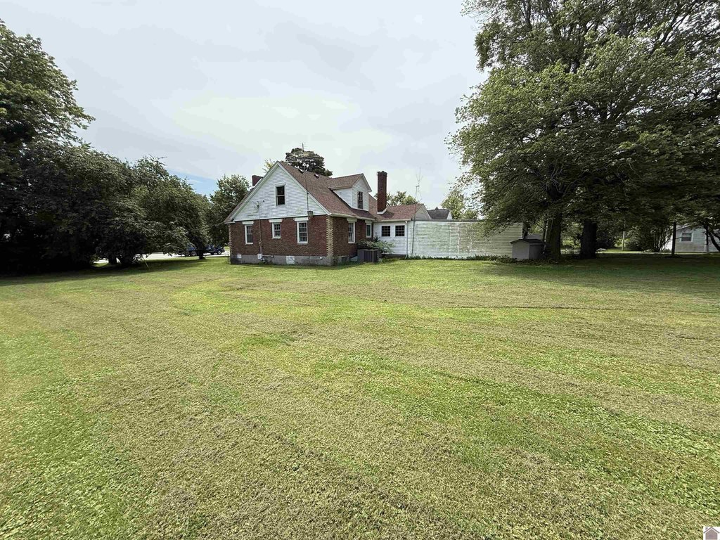 Picture 6