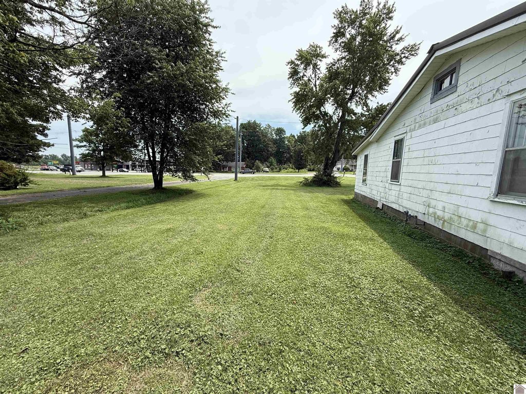 Picture 9