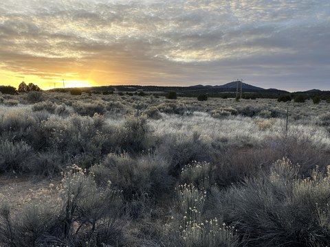 5.18 Acre Horse Property