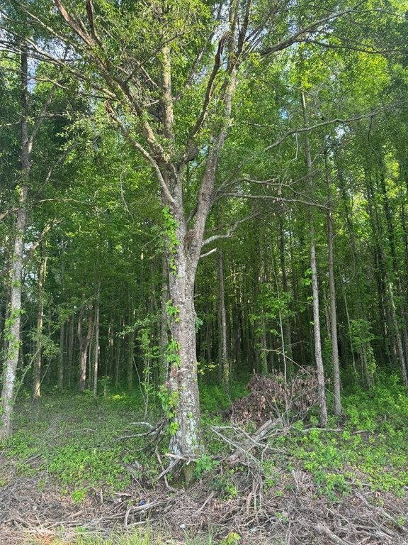 Picture 20