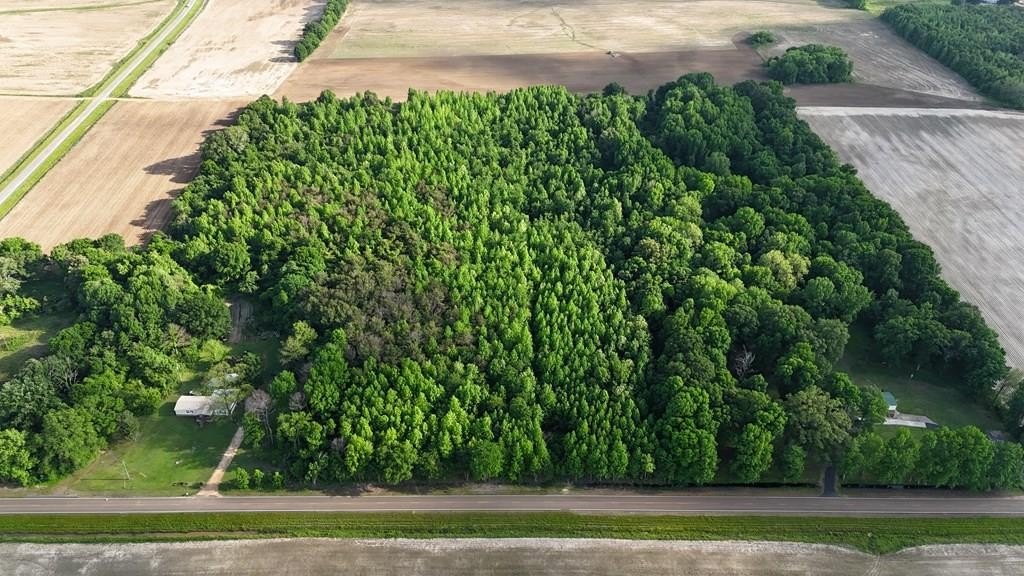 Acreage Tract in Quitman County
