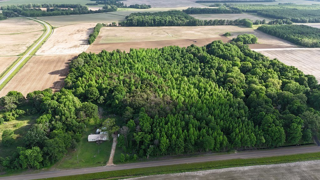 Picture 16