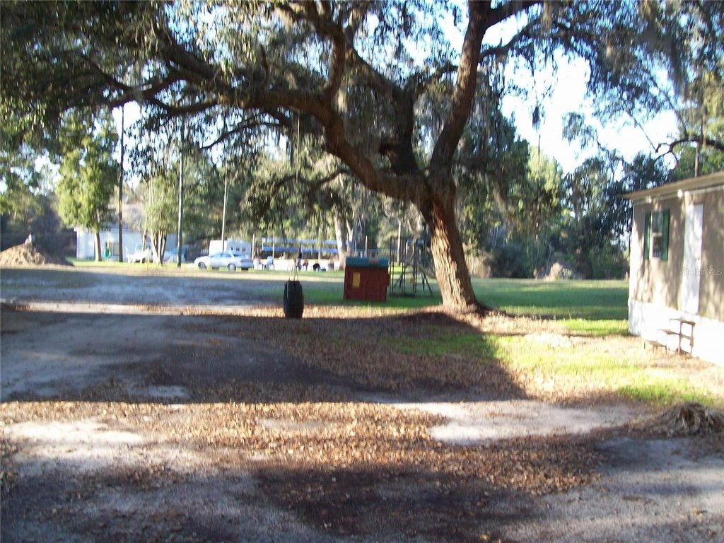 Picture 8
