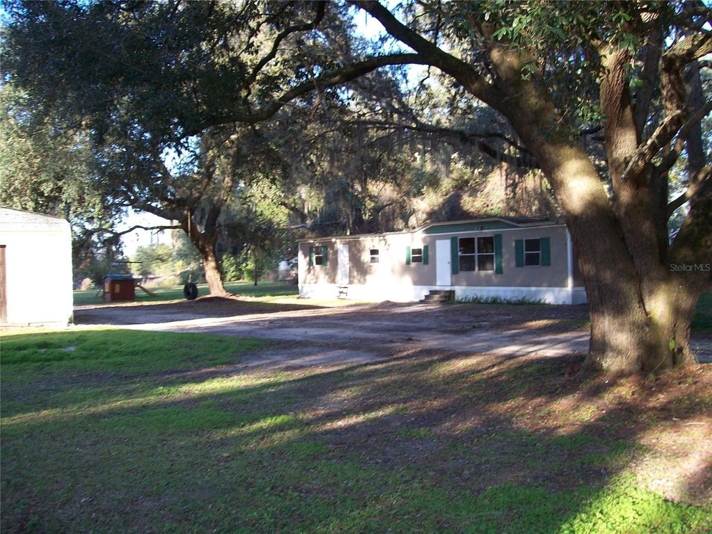 Picture 5