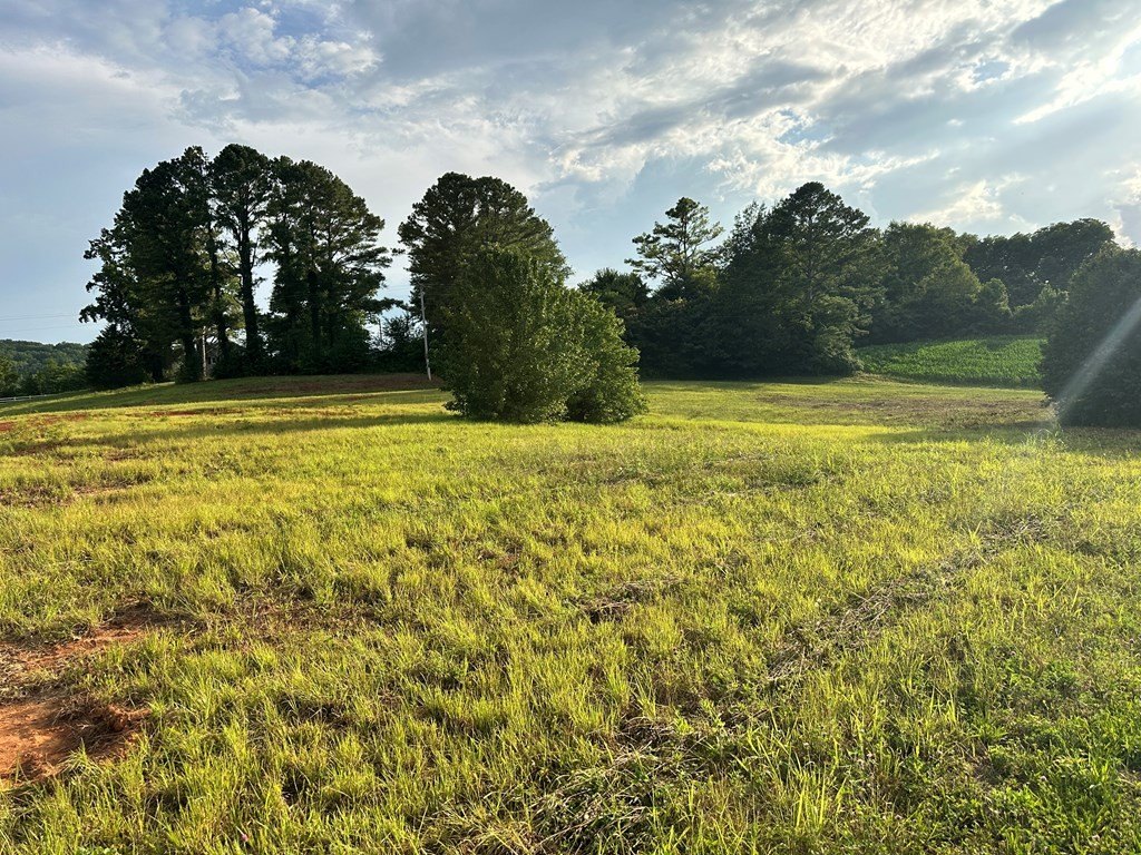 Picture 17