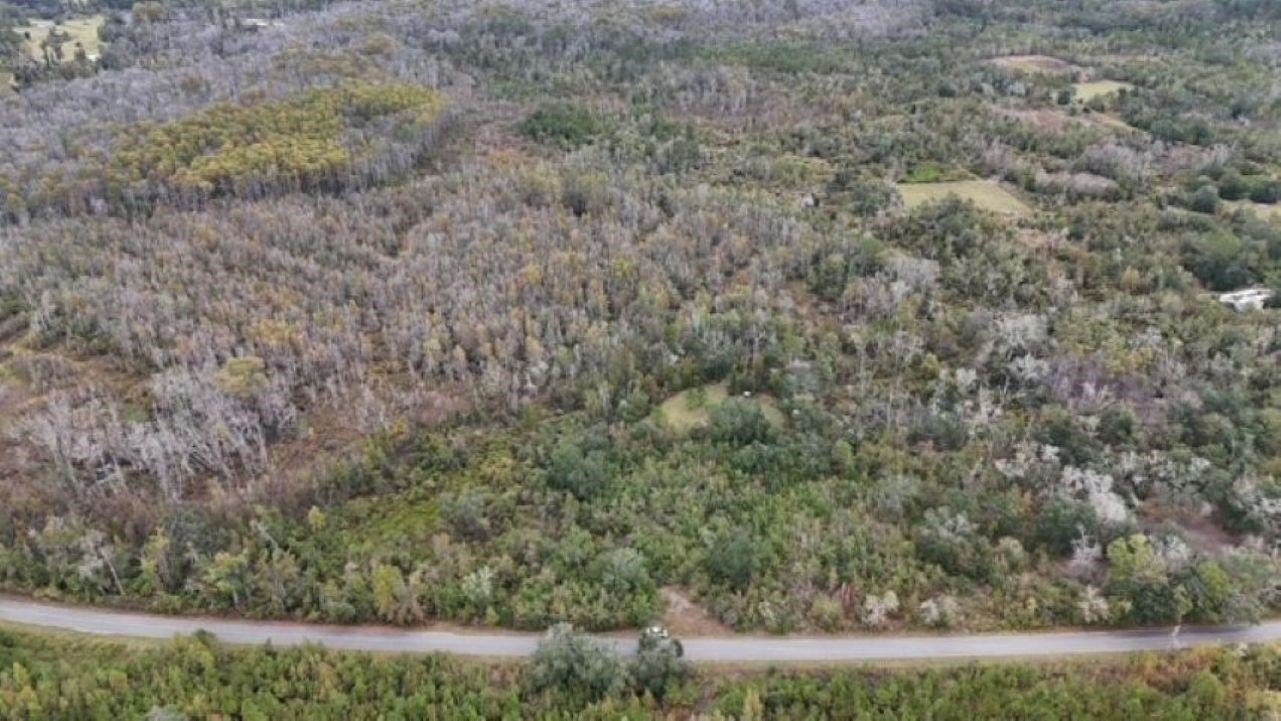 Prime Hunting and Recreation Land