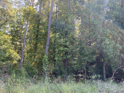 Residential Land in Conyers, GA