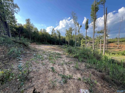 Residential Land in Cullman, Alabama
