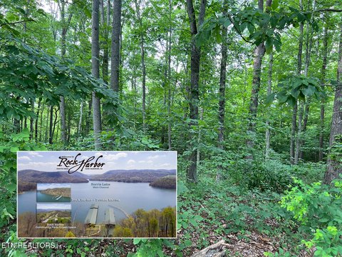 LAND - New Tazewell, TN