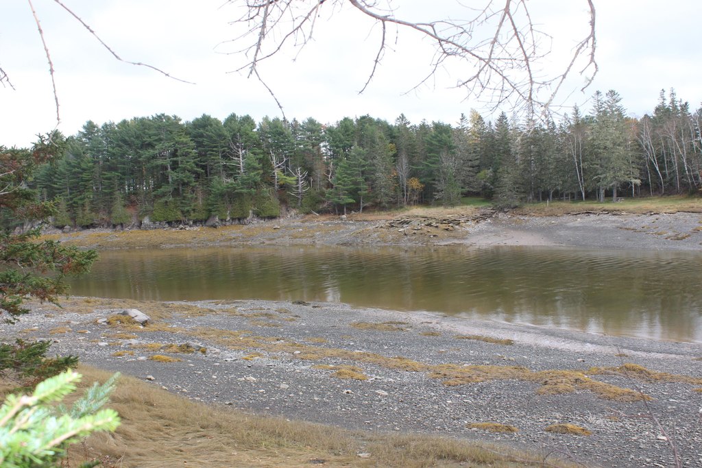Picture 5