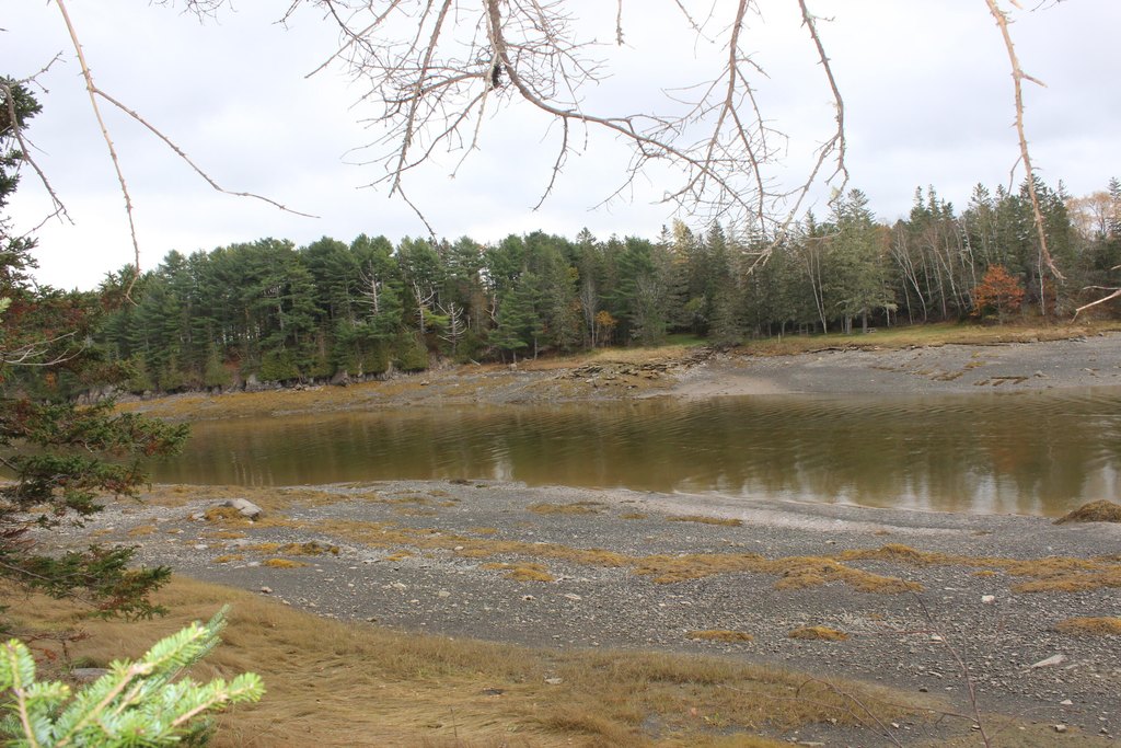 Picture 10