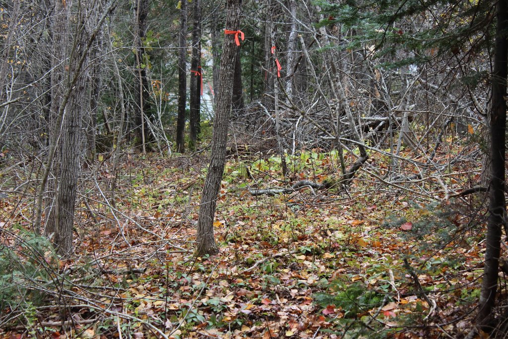 Picture 19