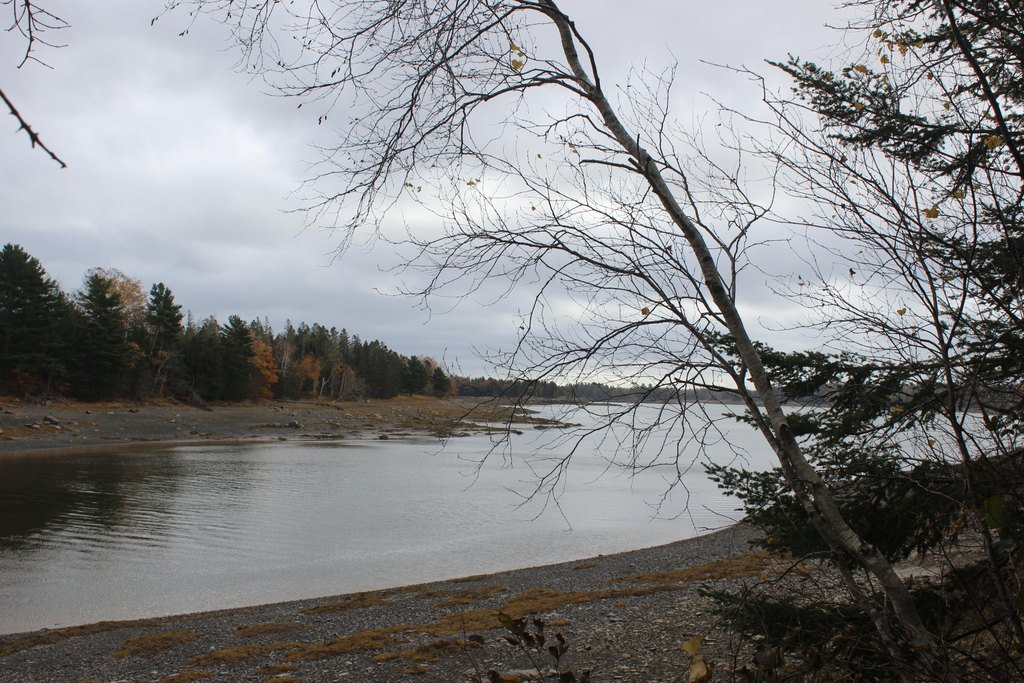 Picture 6