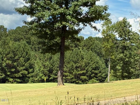 Land, Pittsboro, NC