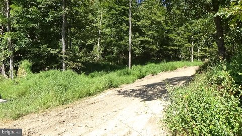 Woodland Acreage in Elliottsburg, PA