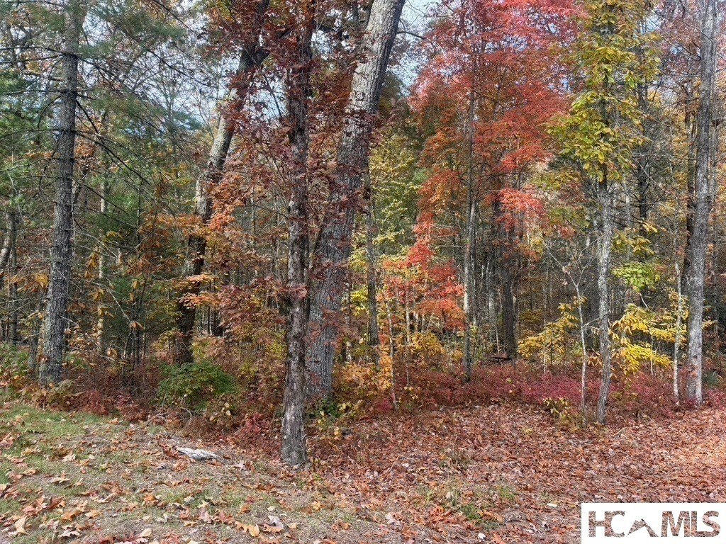 Picture 3