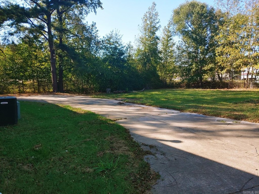 Picture 19