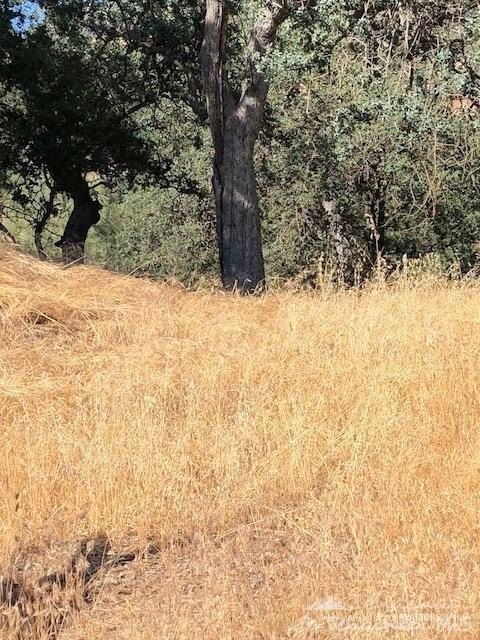 Buildable Lot in Tehachapi, CA