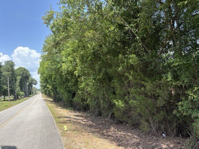 Picture 12