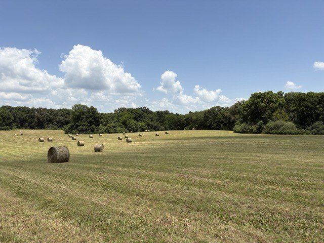 Picture 22