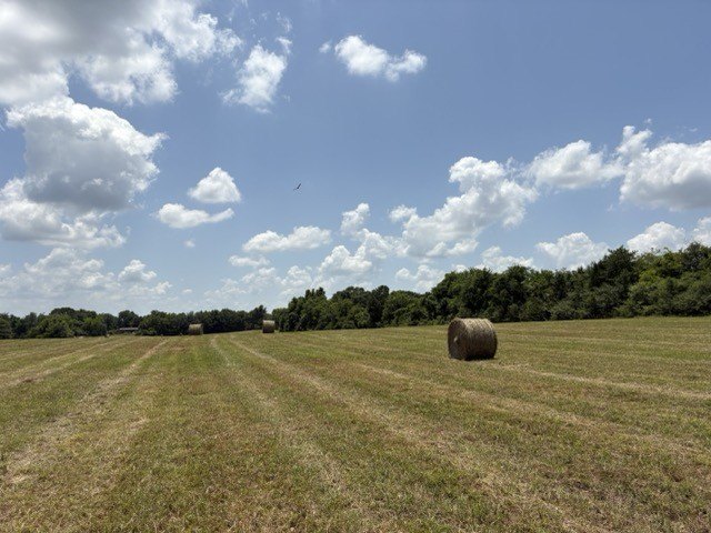 Picture 13