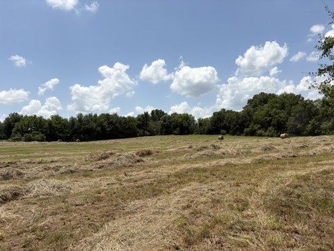 Land, Leighton, AL