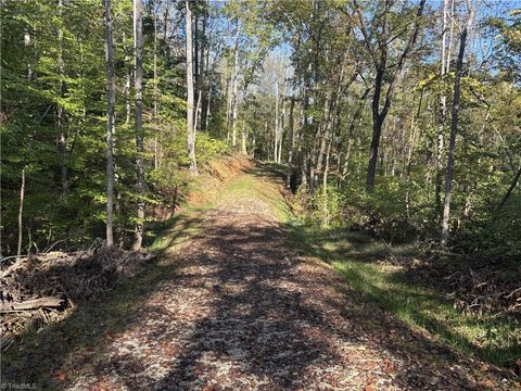 Land, Mount Airy, NC