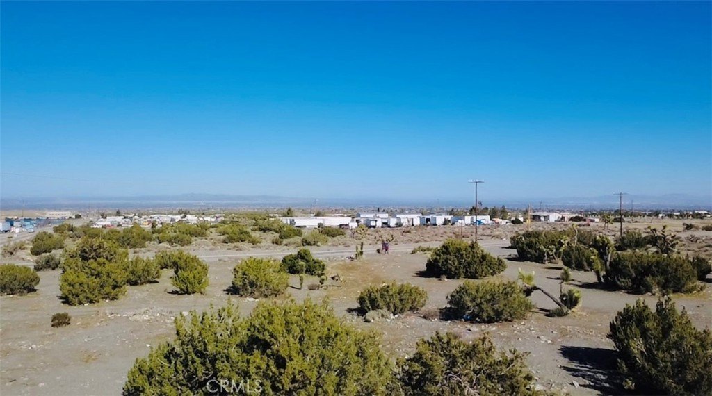 Picture 3