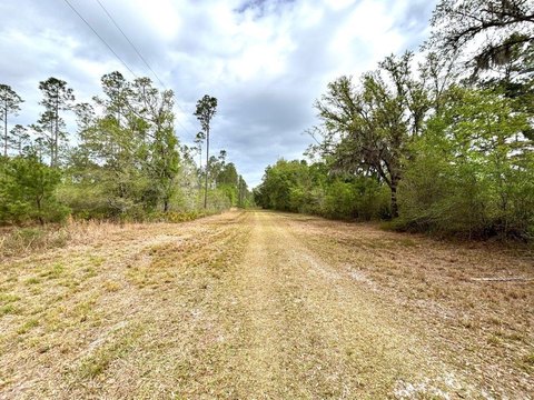 Private Hunting Land Tract