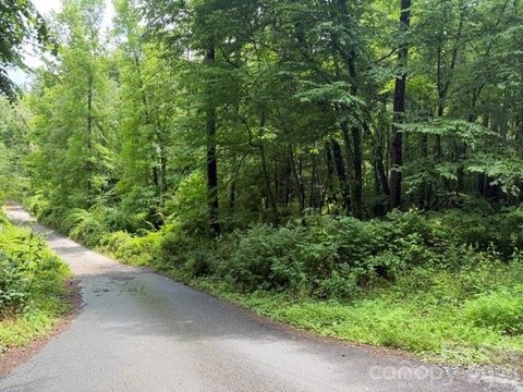 Asheville Land with Creek Frontage