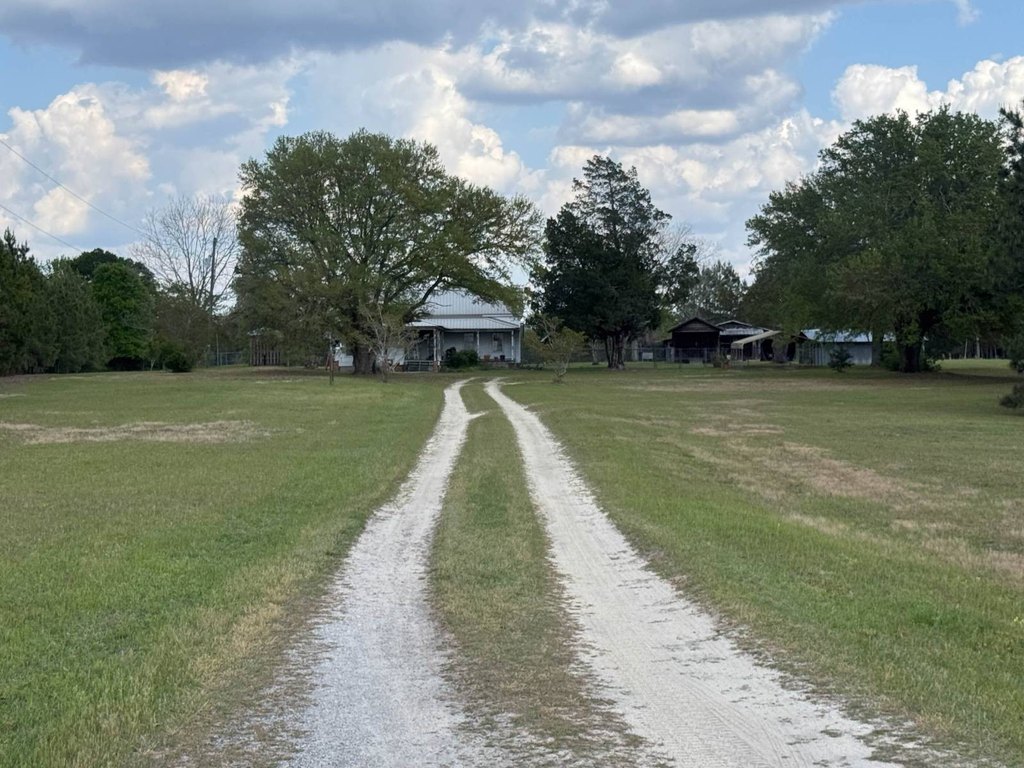 Picture 44