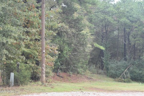 Olive Branch Land For Sale