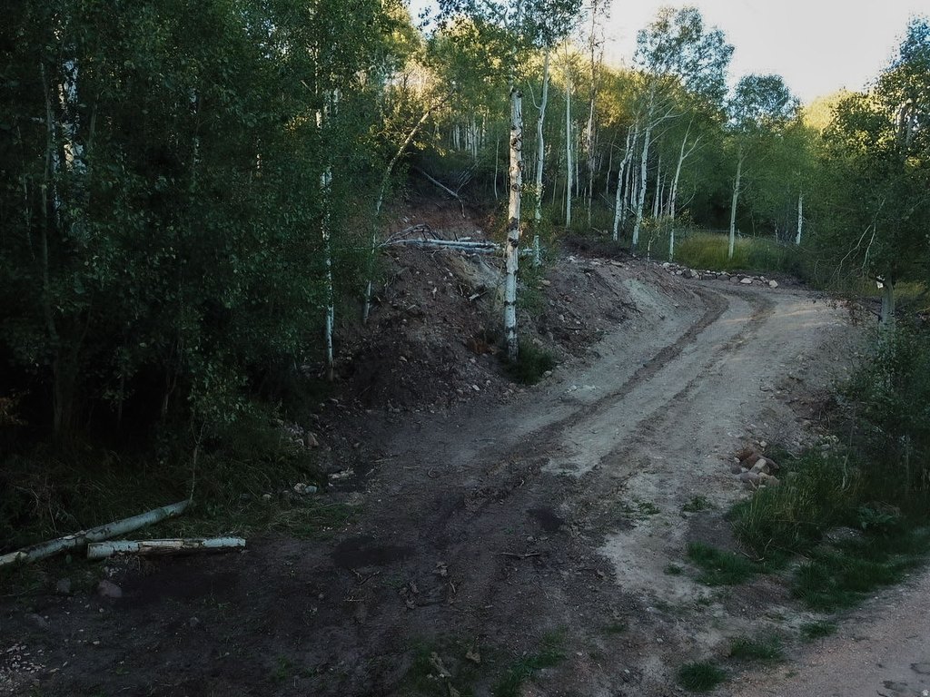 Picture 7