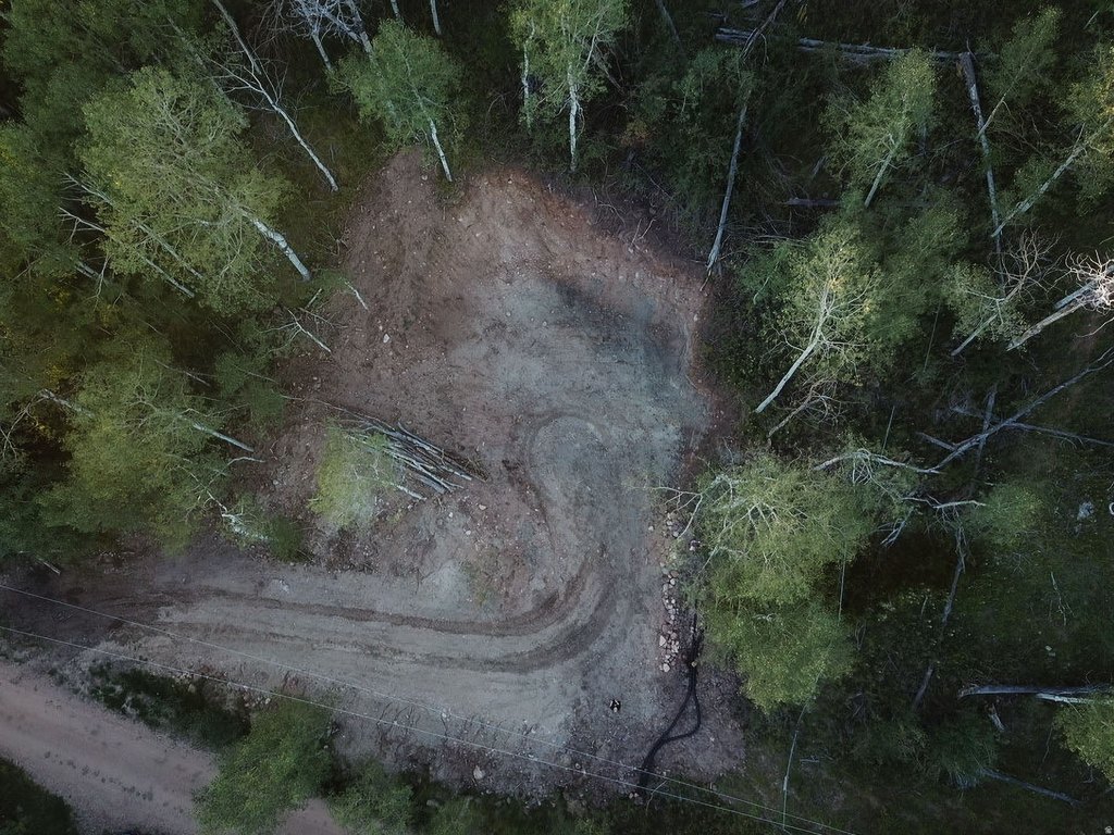 Picture 8