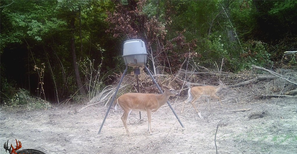 Picture 19