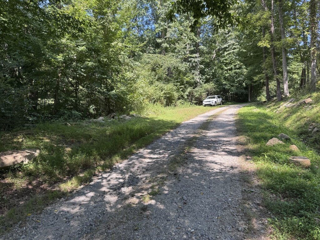 Picture 28